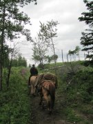 487327_453356958022413_890802282_n