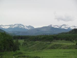 555729_453359731355469_2090877743_n