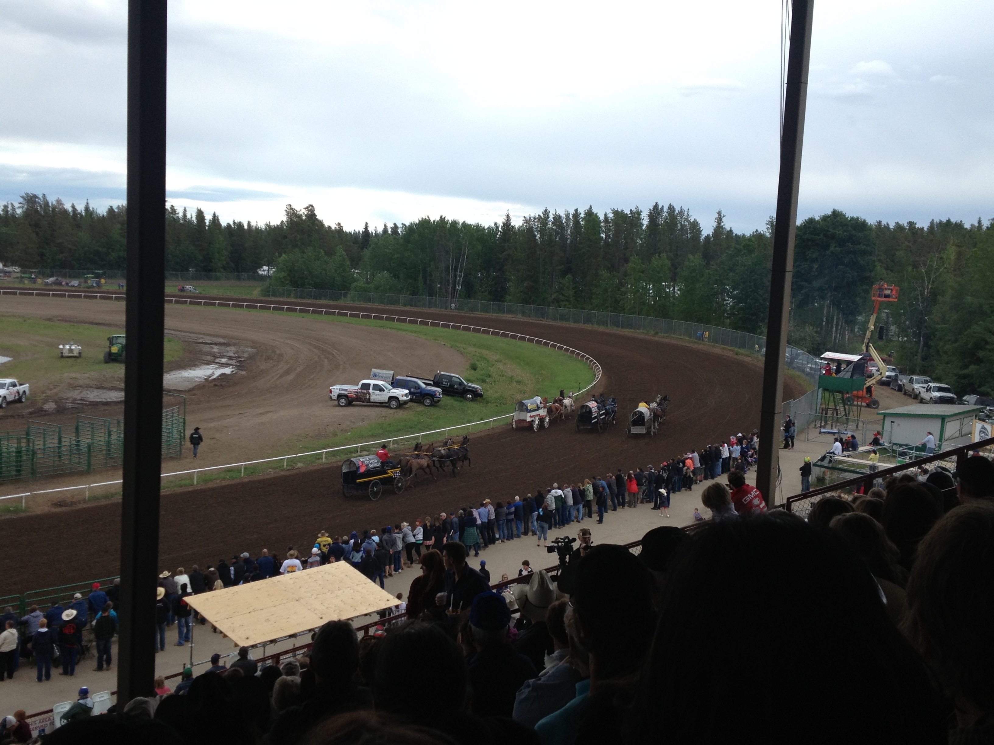 We’re off to the Rodeo… and Other Weekend Adventures | Livin' the ...