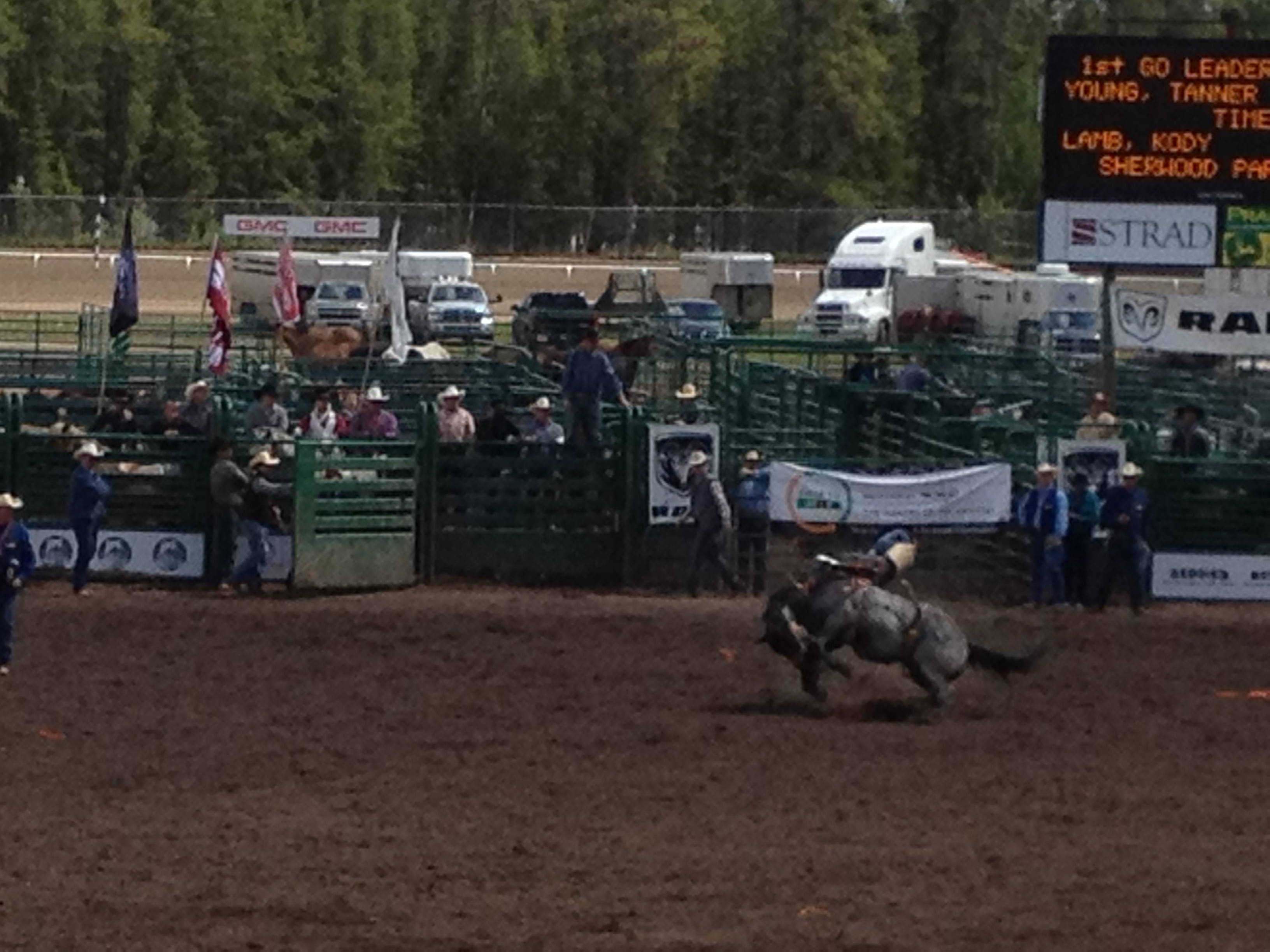 We’re off to the Rodeo… and Other Weekend Adventures | Livin' the ...