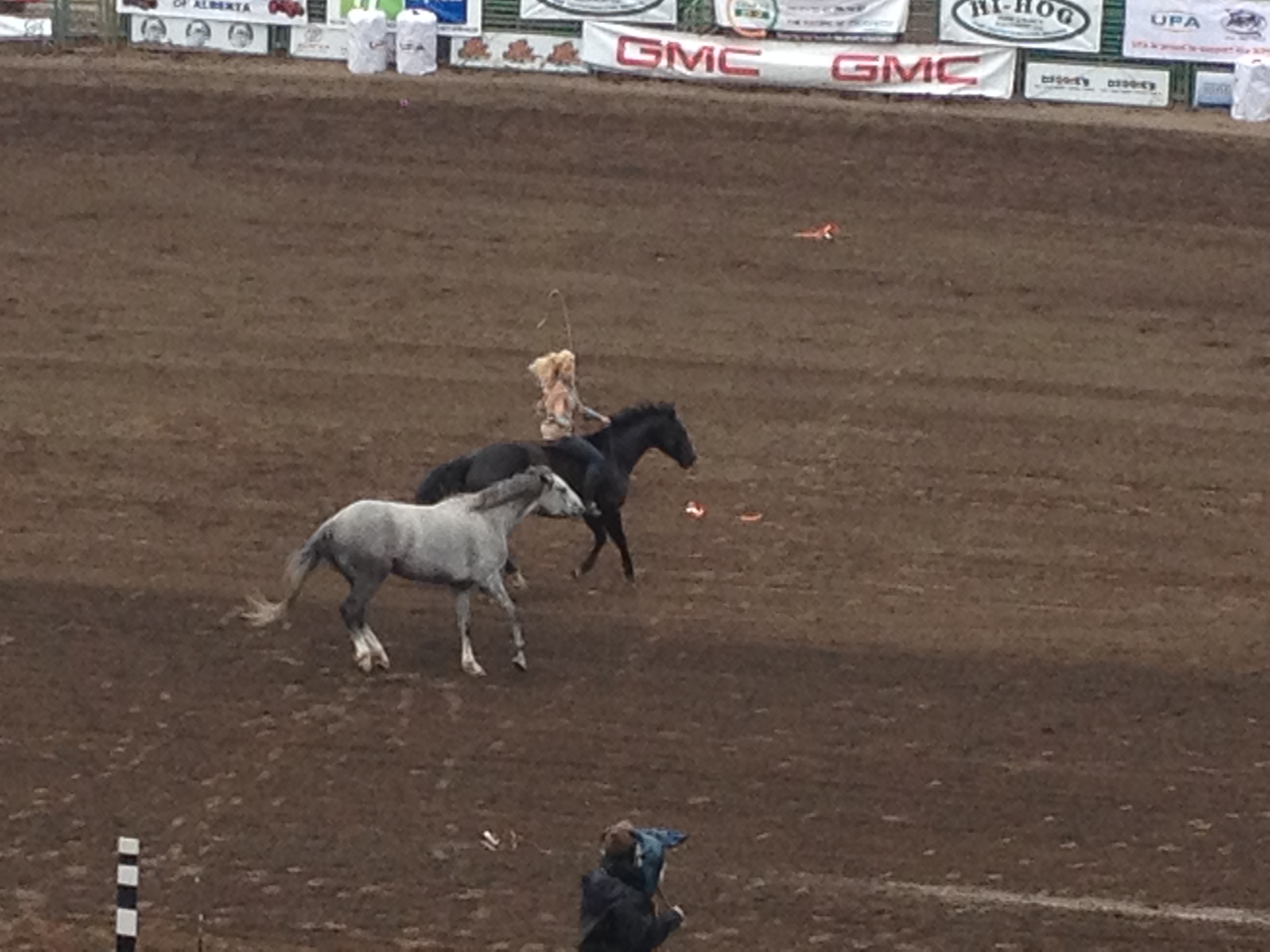 Djibb Rodeo We’re off to the Rodeo… and Other Weekend Adventures | Livin' the ...