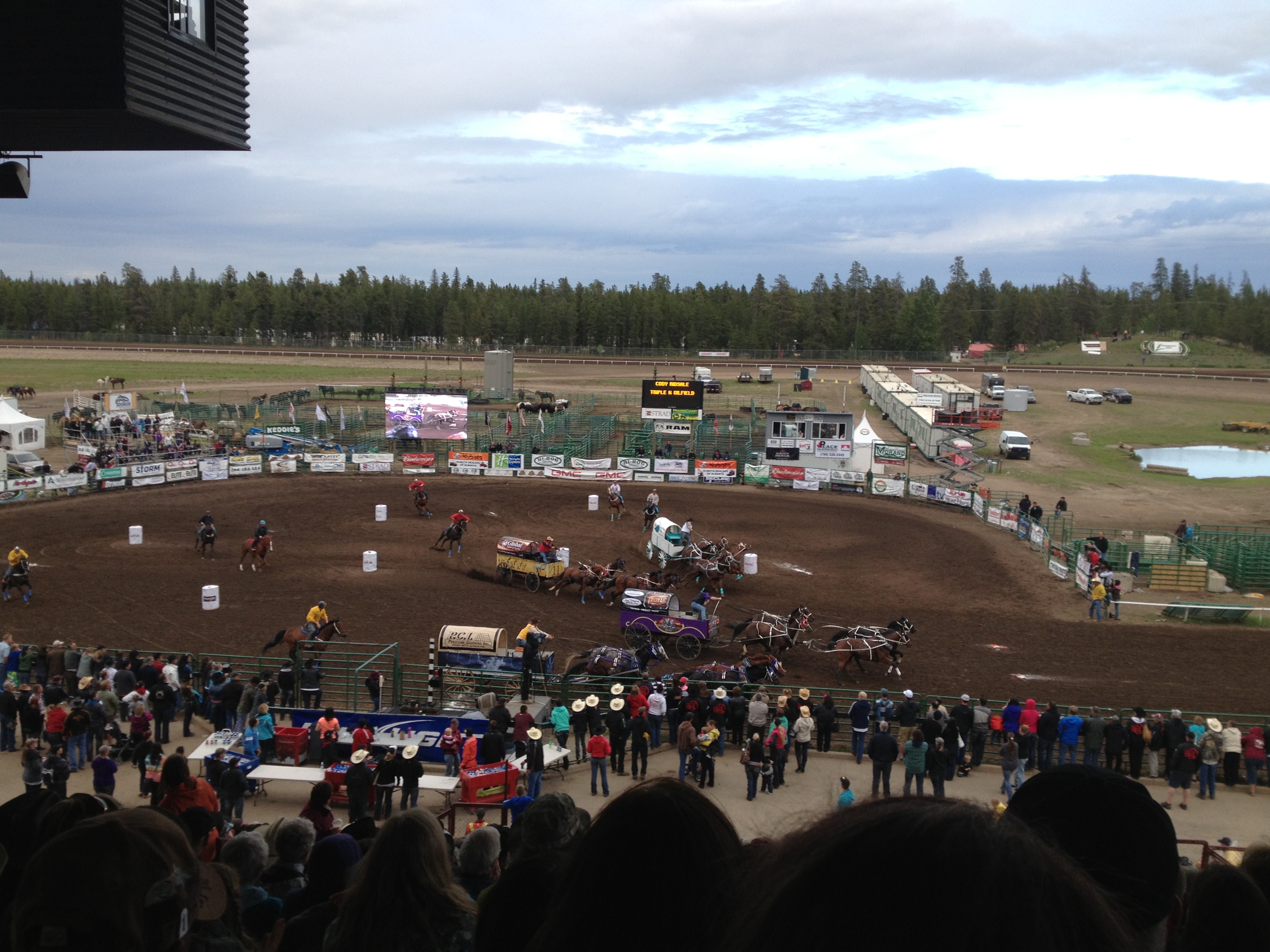 We’re off to the Rodeo… and Other Weekend Adventures | Livin' the ...
