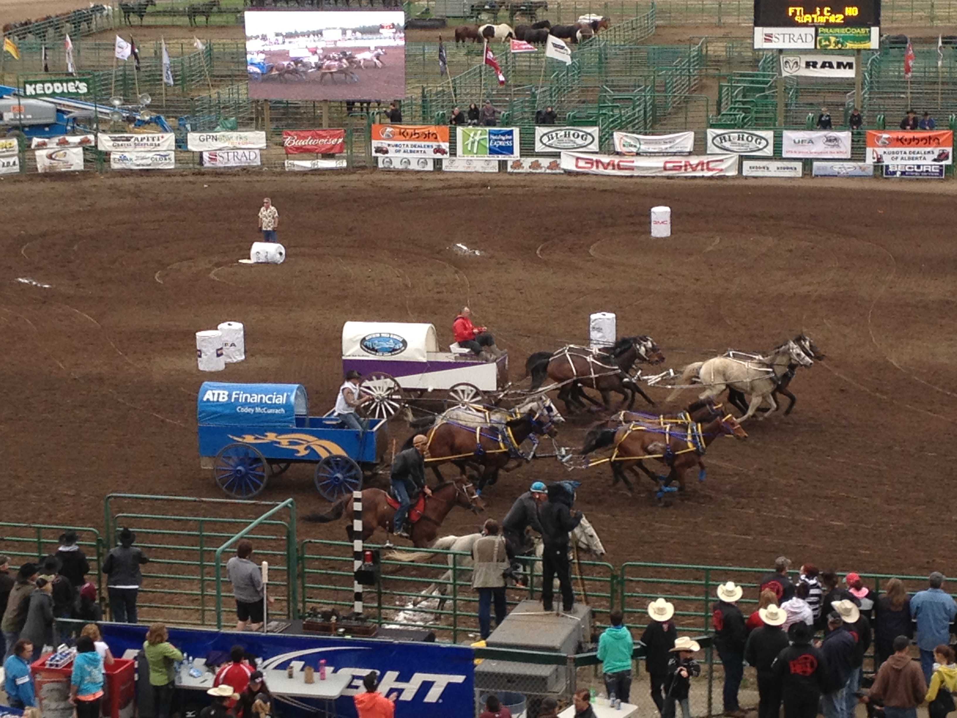 We’re off to the Rodeo… and Other Weekend Adventures | Livin' the ...