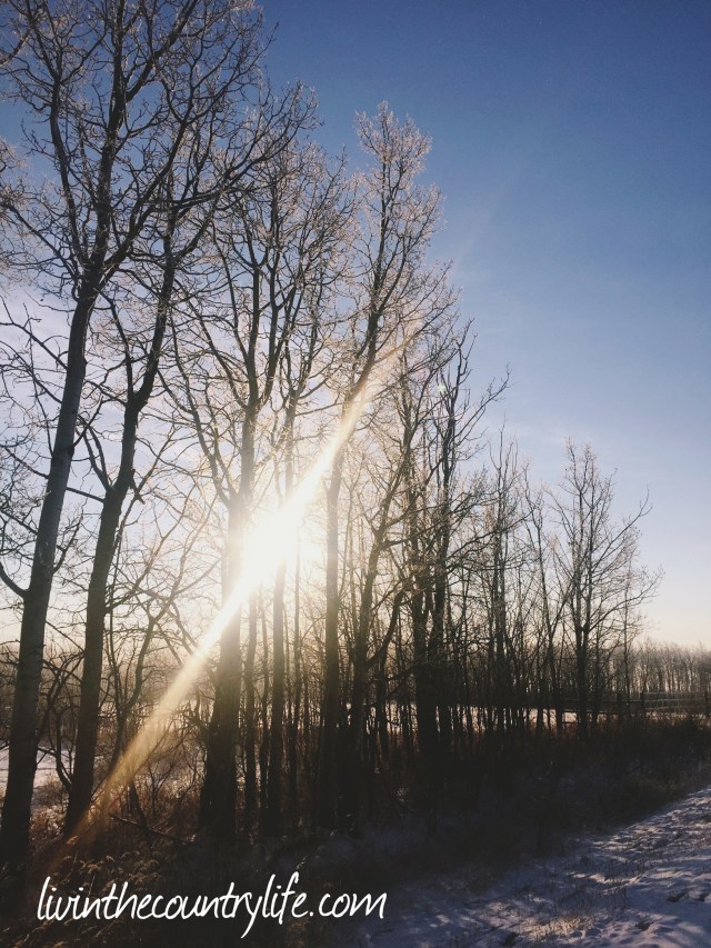 Processed with MOLDIV