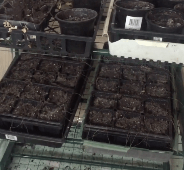 Screen Shot 2017-12-09 at 4.17.01 PM.png