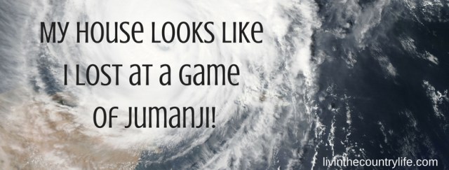 My House Looks Like I Lost at a Game Of Jumanji.jpg