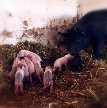 Processed with MOLDIV