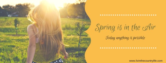 Spring is in the Air